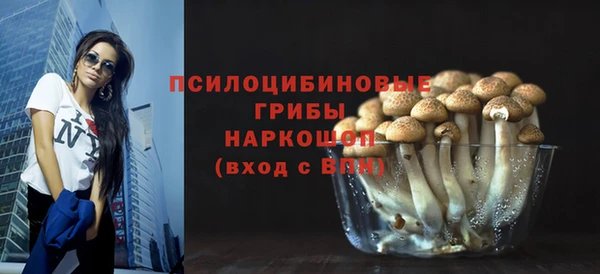 тгк Семилуки