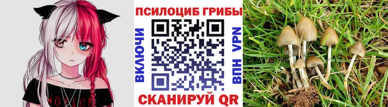 Псилоцибиновые грибы Psilocybine cubensis  OMG рабочий сайт  Калтан 
